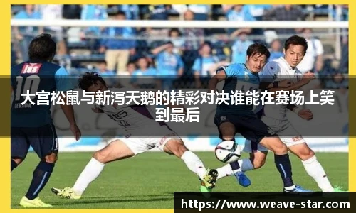 大宫松鼠与新泻天鹅的精彩对决谁能在赛场上笑到最后